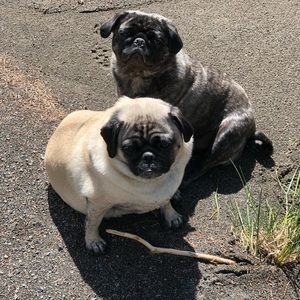 Meet your Posher, Deb